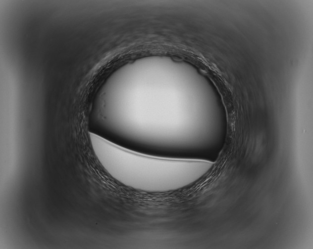 X0000087311495200704200706