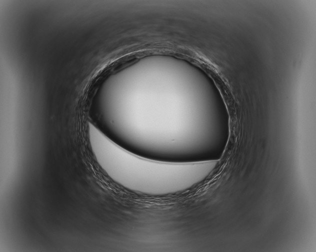 X0000087311496200704200706