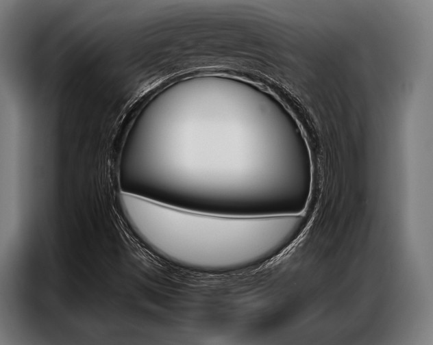 X0000087311497200704200706