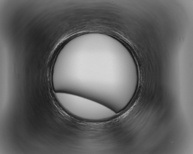X0000087311498200704200706