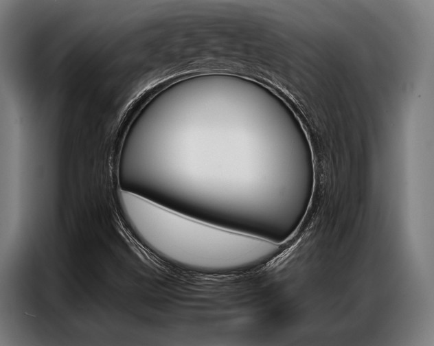 X0000087311499200704200706