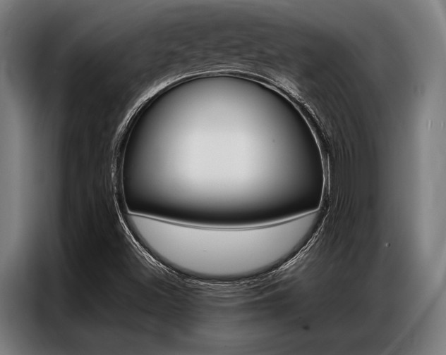 X0000087311500200704200707