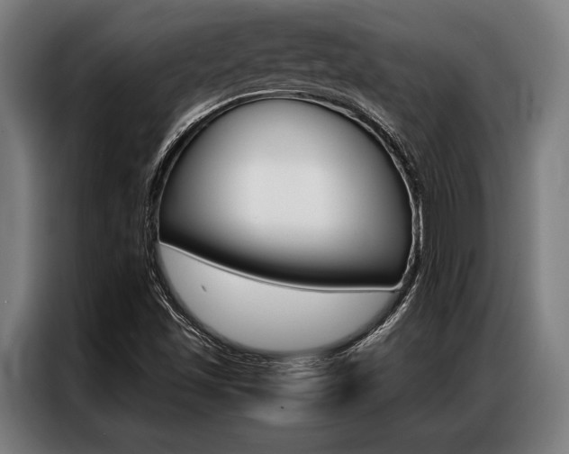 X0000087311501200704200707