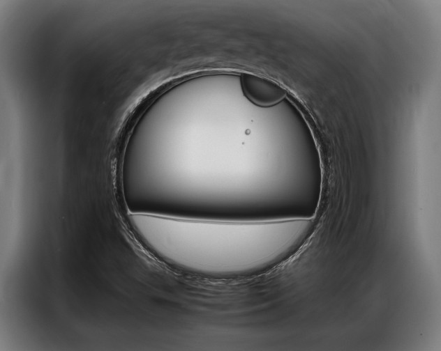 X0000087311503200704200707