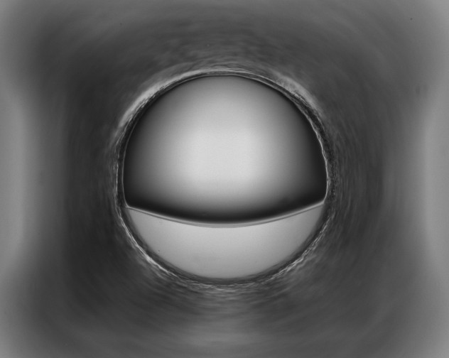 X0000087311504200704200707