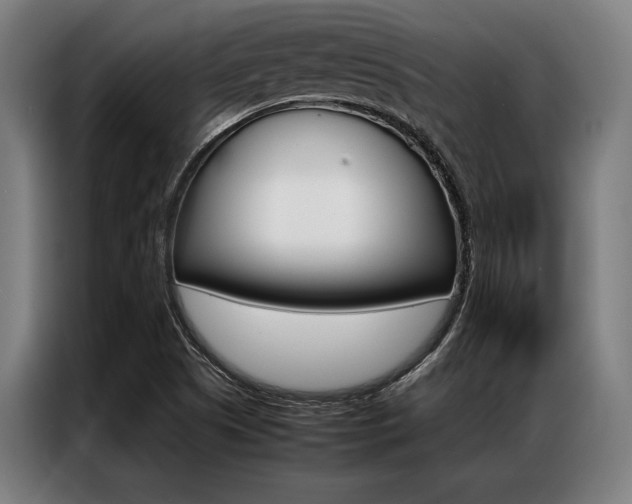 X0000087311505200704200707