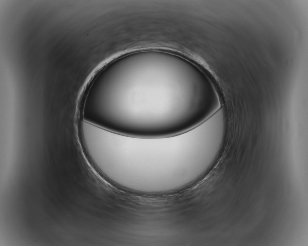 X0000087311508200704200707