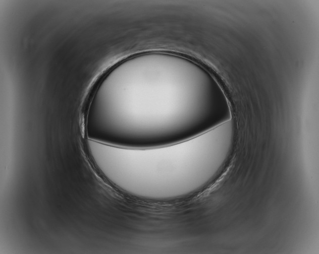 X0000087311509200704200707