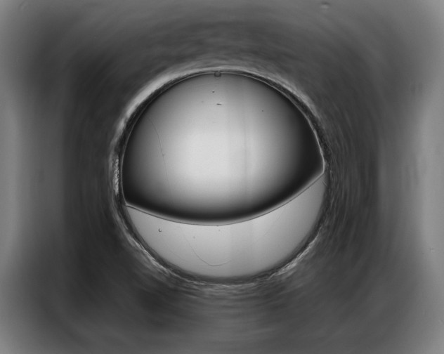X0000087311510200704200707