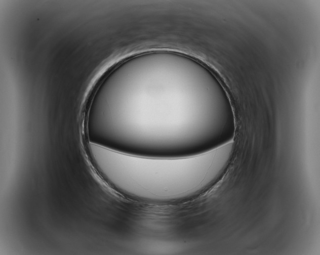 X0000087311511200704200707