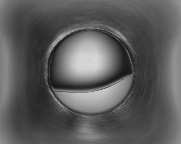 X0000087311512200704200707