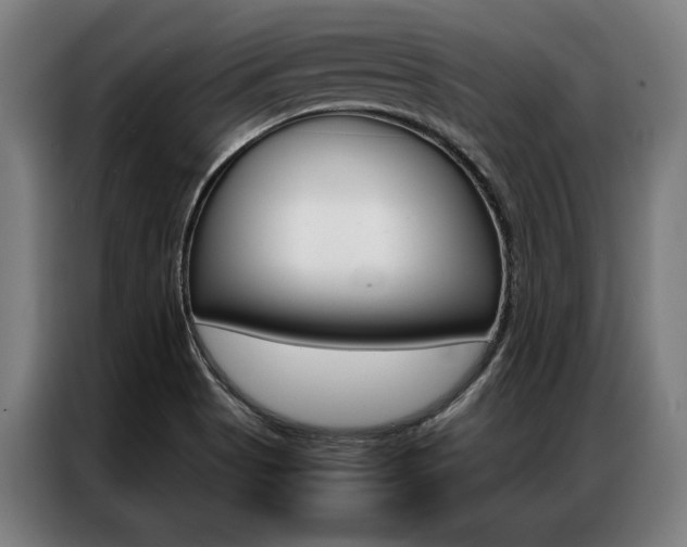 X0000087311513200704200707