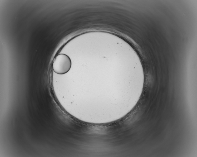 X0000087311514200704200707
