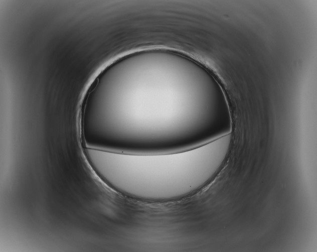 X0000087311516200704200707