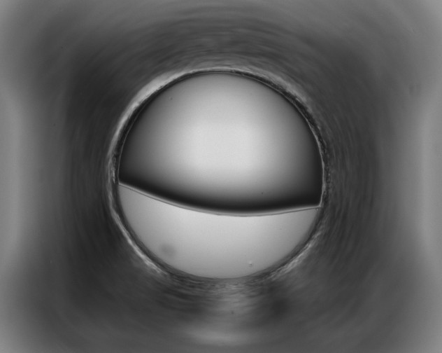 X0000087311517200704200707