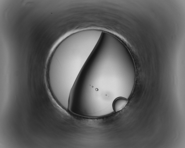 X0000087311518200704200707
