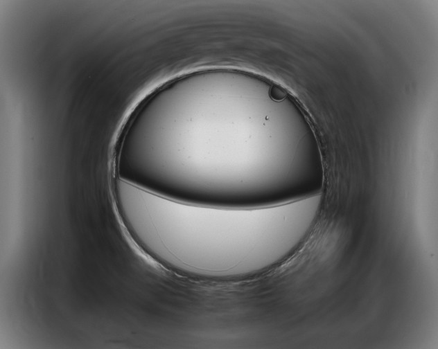 X0000087311519200704200707