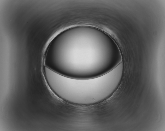 X0000087311520200704200707