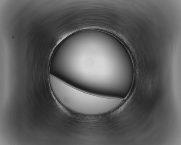 X0000087311521200704200707