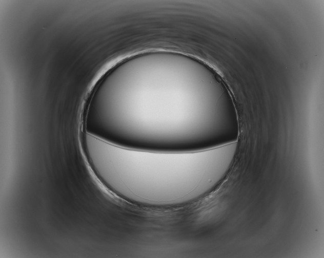 X0000087311523200704200707