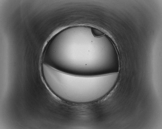 X0000087311525200704200707