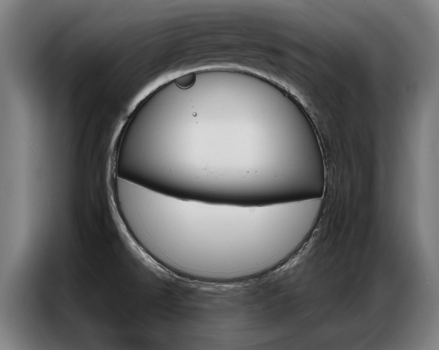 X0000087311526200704200707