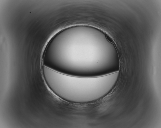 X0000087311527200704200707