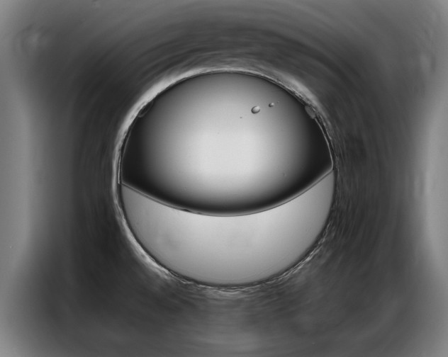 X0000087311528200704200707