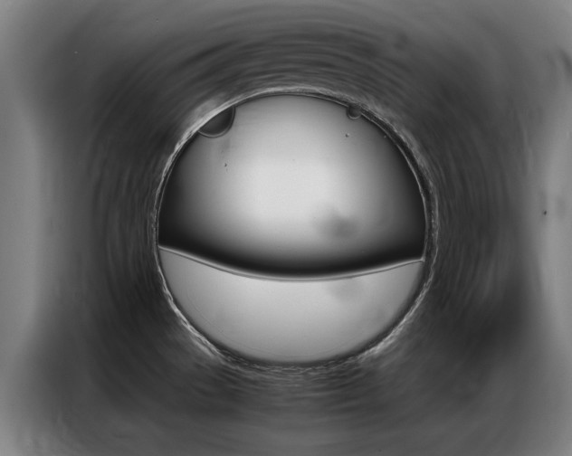 X0000087311529200704200707