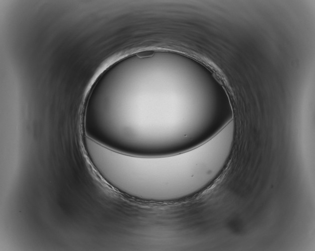 X0000087311530200704200707