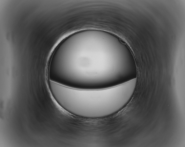 X0000087311531200704200707