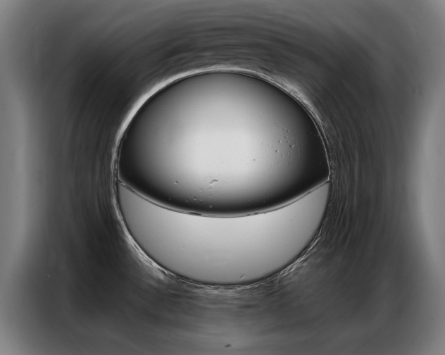 X0000087311532200704200707