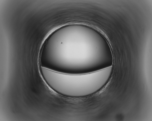 X0000087311533200704200707