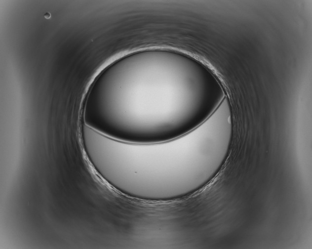 X0000087311534200704200707