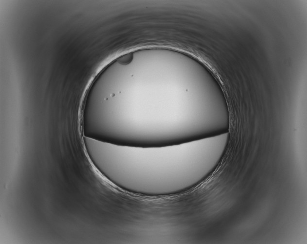 X0000087311535200704200707