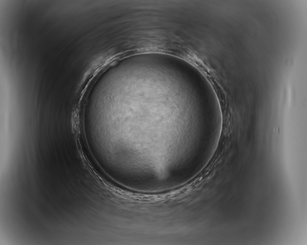 X0000087310002200704201218