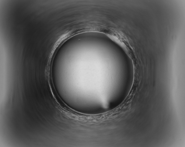 X0000087310003200704201218