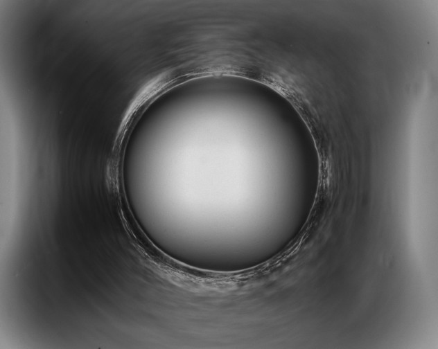 X0000087310004200704201218