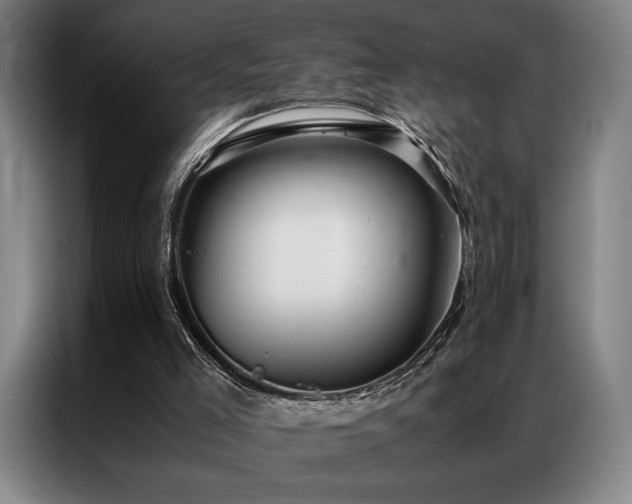 X0000087310005200704201218