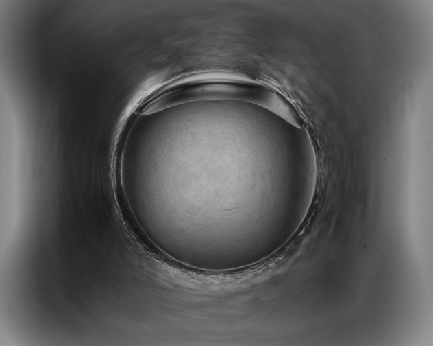 X0000087310006200704201218