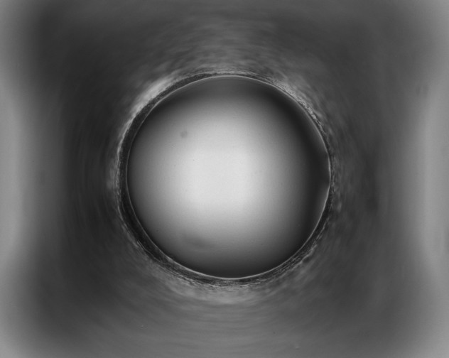 X0000087310008200704201218