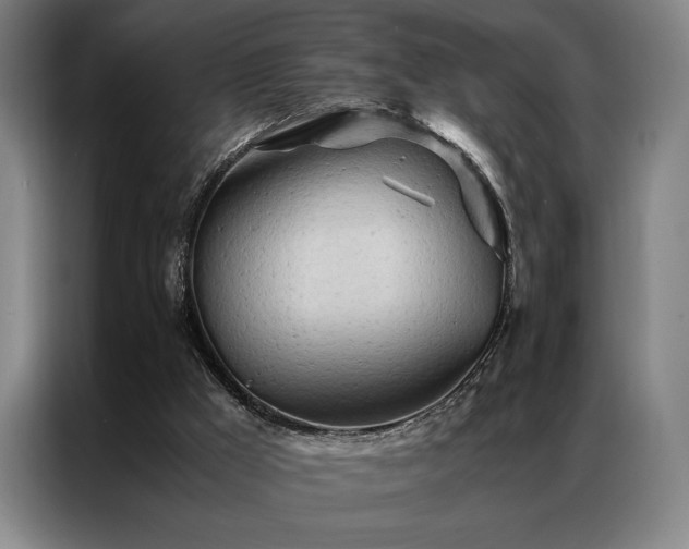 X0000087310009200704201218