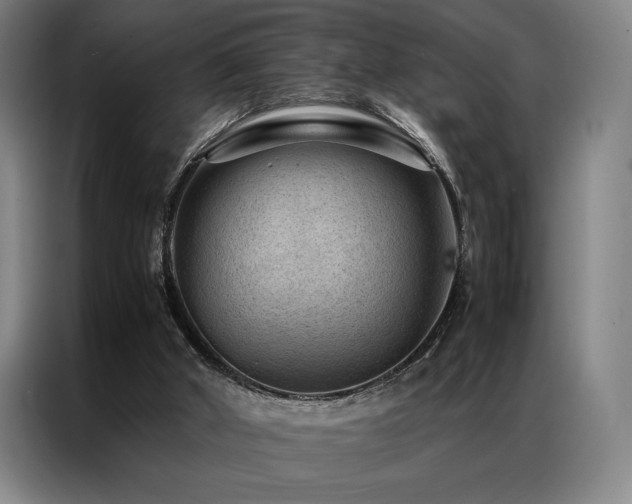X0000087310010200704201218