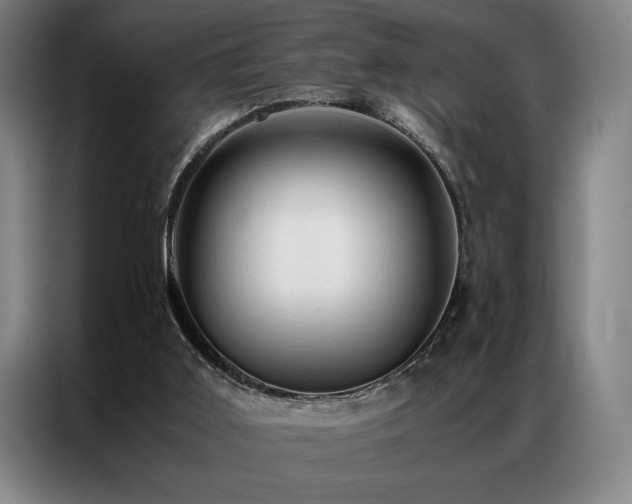 X0000087310011200704201218