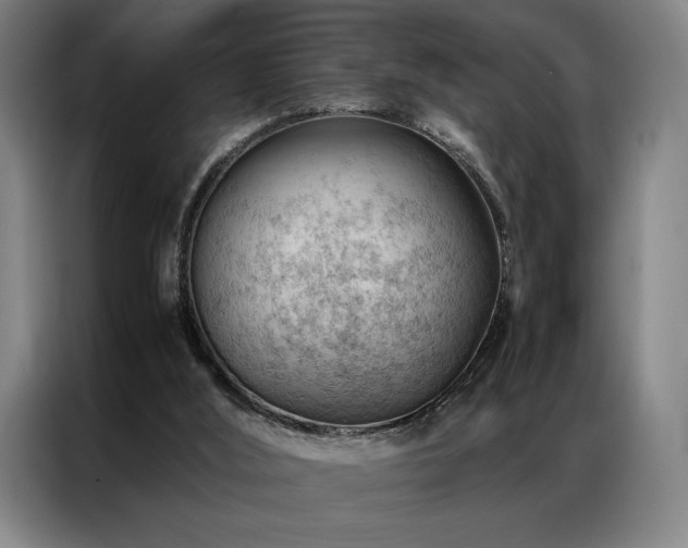 X0000087310012200704201218