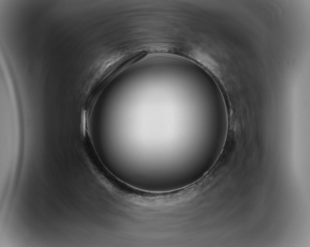 X0000087310013200704201218