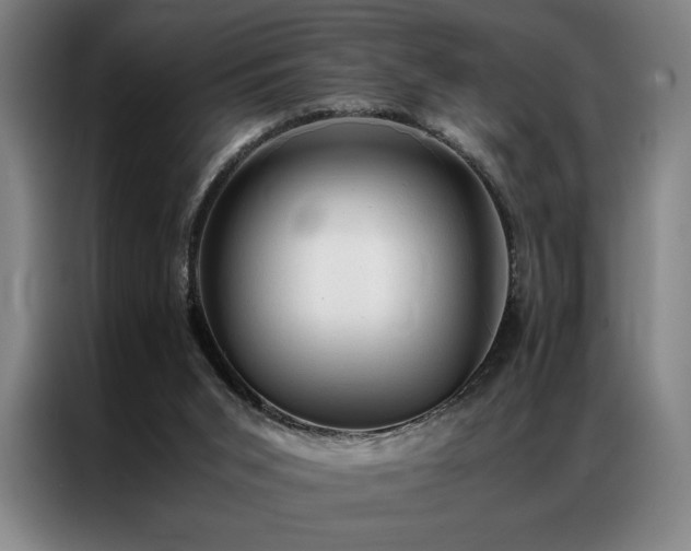 X0000087310015200704201218