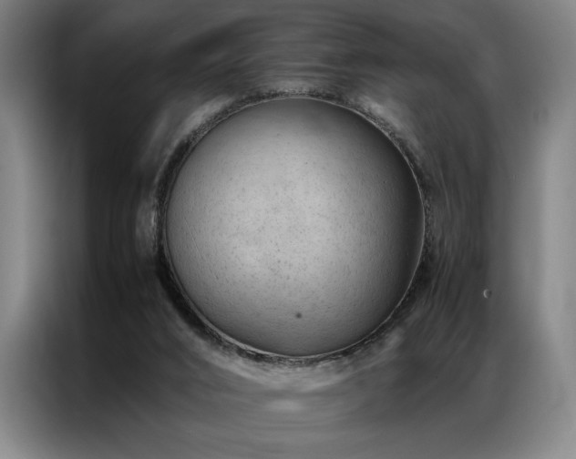 X0000087310016200704201218