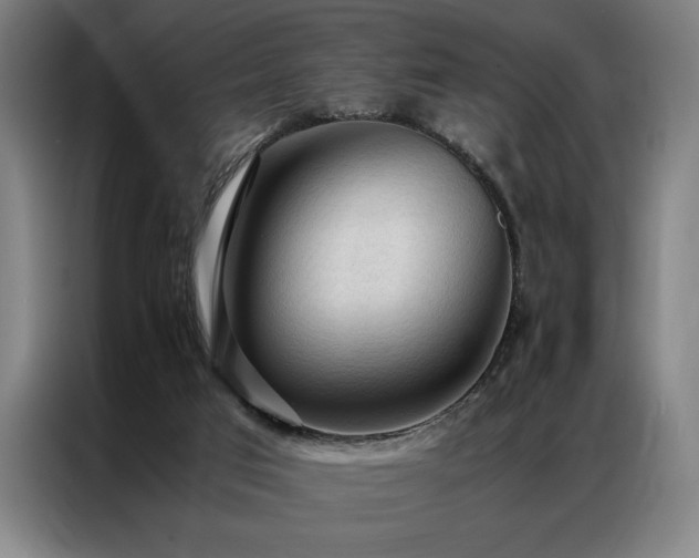 X0000087310017200704201218