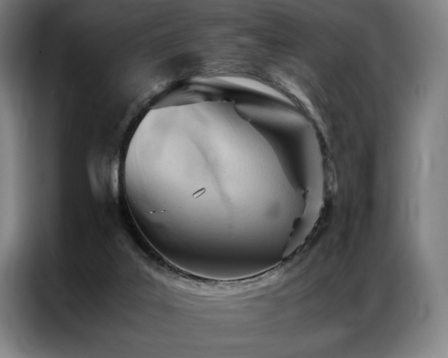 X0000087310019200704201218